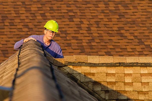 Best Roof Gutter Cleaning  in El Verano, CA
